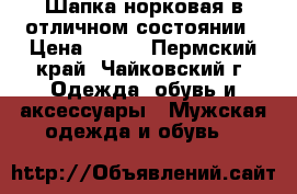 Шапка норковая в отличном состоянии › Цена ­ 500 - Пермский край, Чайковский г. Одежда, обувь и аксессуары » Мужская одежда и обувь   